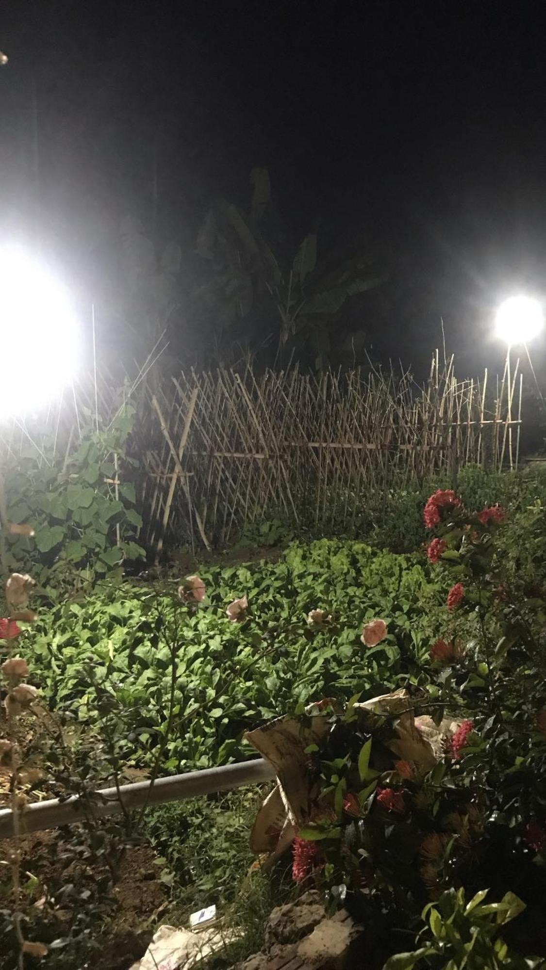 Bee Lucky Homestay Hien Hao Extérieur photo