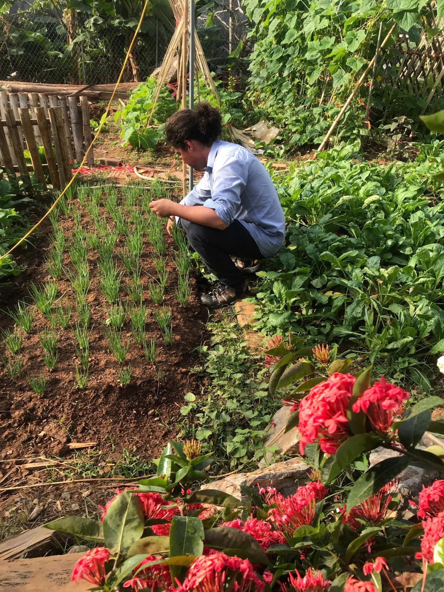 Bee Lucky Homestay Hien Hao Extérieur photo