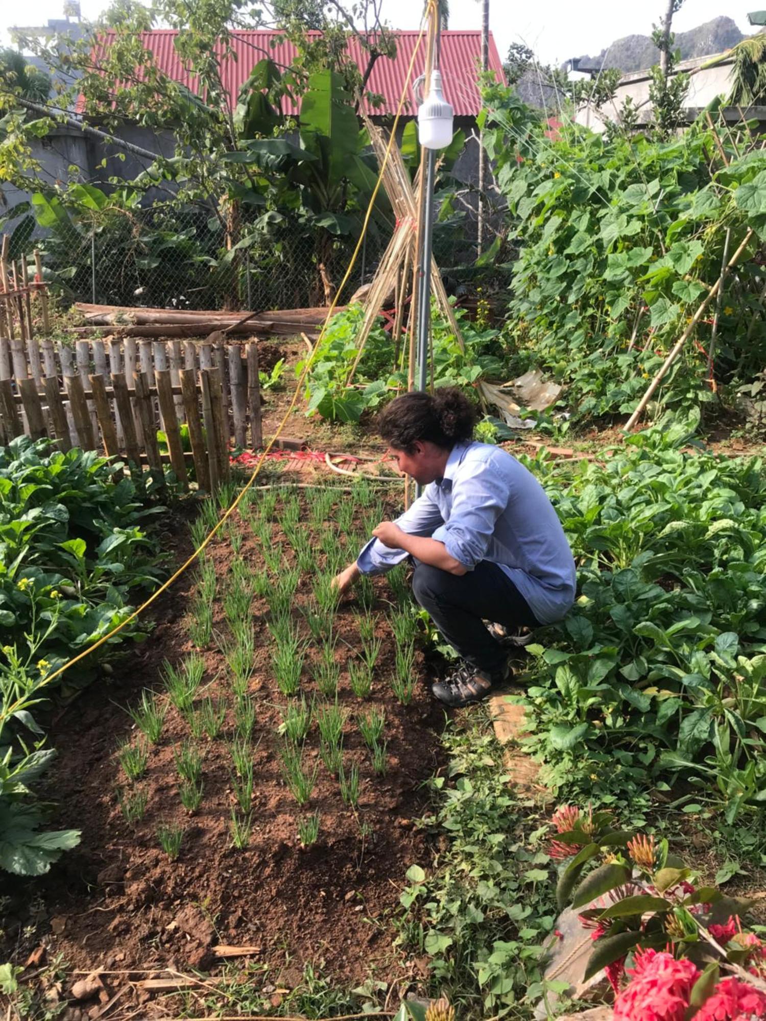 Bee Lucky Homestay Hien Hao Extérieur photo