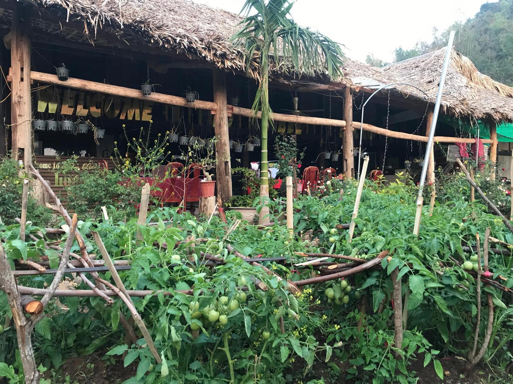 Bee Lucky Homestay Hien Hao Extérieur photo