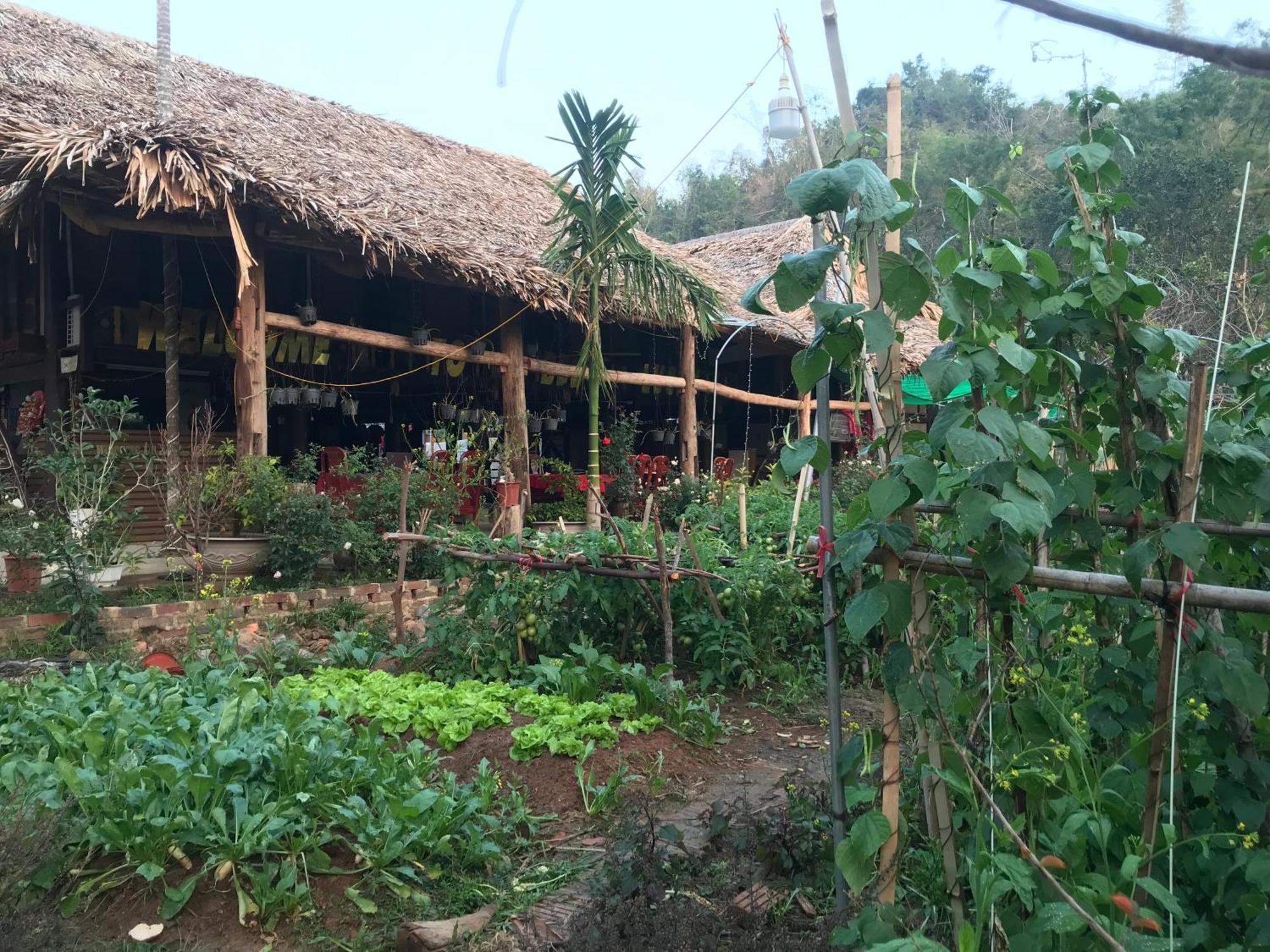 Bee Lucky Homestay Hien Hao Extérieur photo